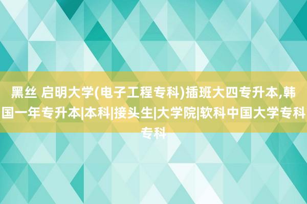 黑丝 启明大学(电子工程专科)插班大四专升本，韩国一年专升本|本科|接头生|大学院|软科中国大学专科