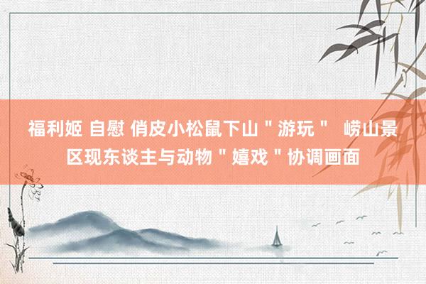 福利姬 自慰 俏皮小松鼠下山＂游玩＂  崂山景区现东谈主与动物＂嬉戏＂协调画面