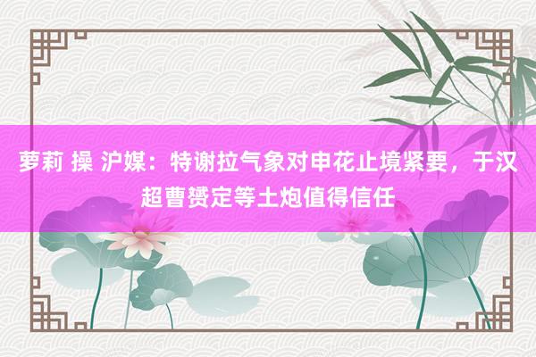 萝莉 操 沪媒：特谢拉气象对申花止境紧要，于汉超曹赟定等土炮值得信任