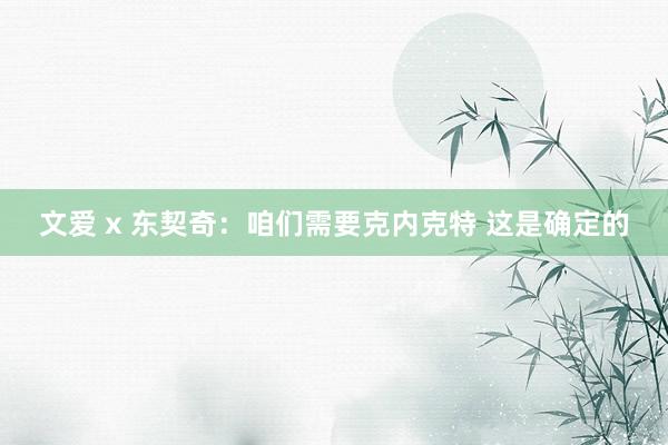 文爱 x 东契奇：咱们需要克内克特 这是确定的